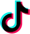 TikTok Icon